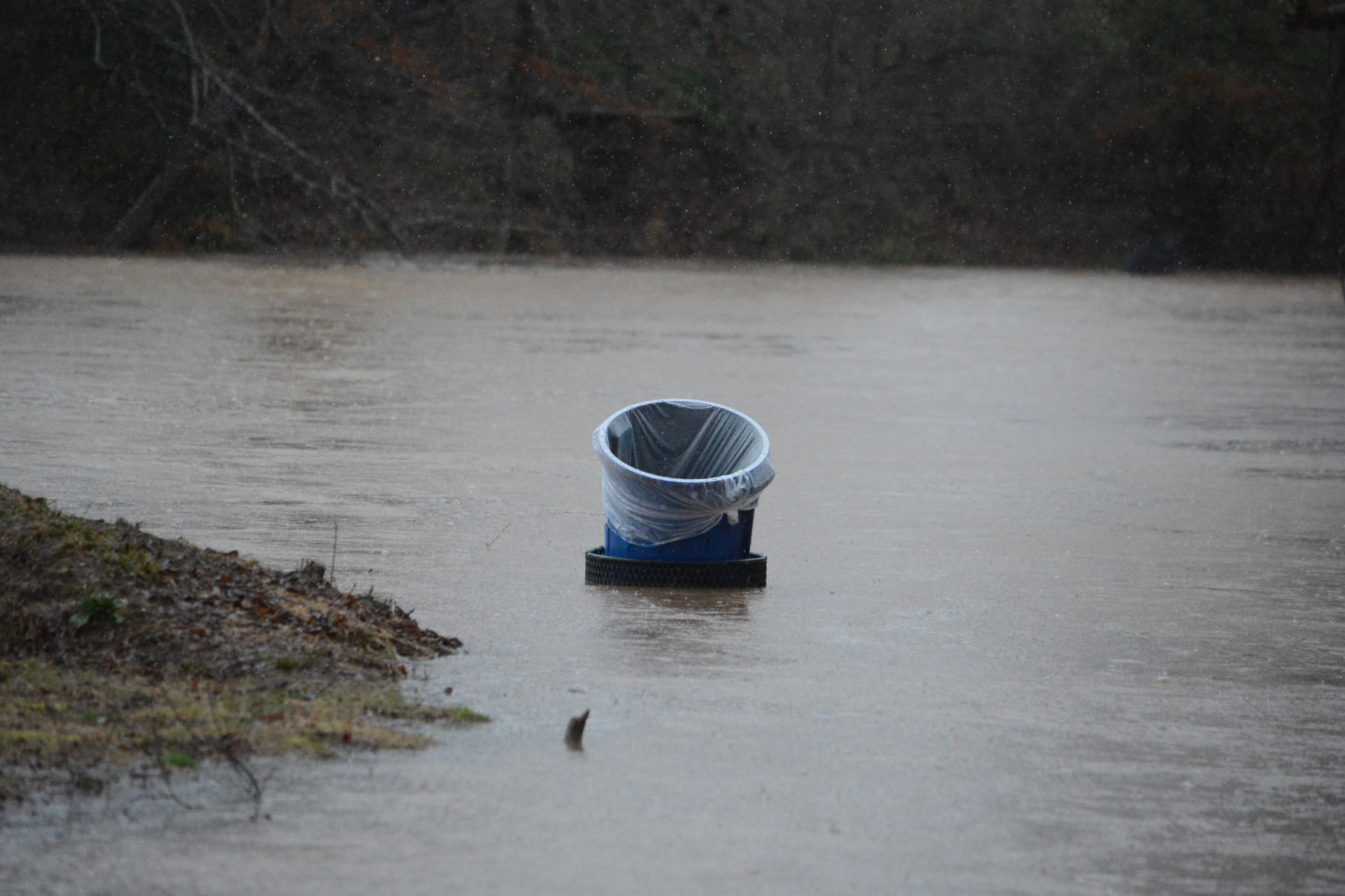 0206 CM flash flooding (15).JPG